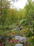 Trail 4