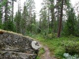 Trail 1