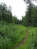 Trail 2