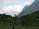 Trail 4
