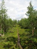 Trail 6