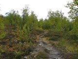 Trail 1