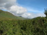 Tarradalen 1