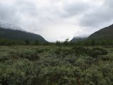 Tarradalen 1