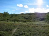 Fjelds 1