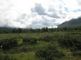 Fjelds 1