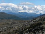 Fjelds 6