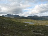 Fjelds 8