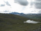 Fjelds 9