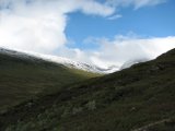 Fjelds 1