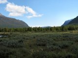 Fjelds 3