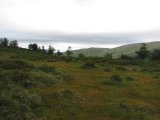 Fjelds 1