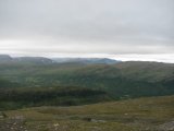 Fjelds 5