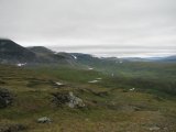 Fjelds 7
