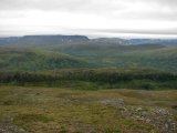 Fjelds 8