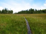 Trail 1