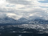 Tronndalen 1