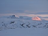 Evening 6