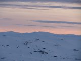 Evening 7