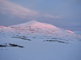 Evening 8