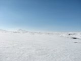 Fjelds 1
