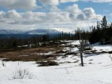 Fjelds 5