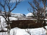 Fjelds 6