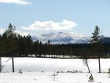 Fjelds 7