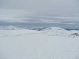 Fjelds 5