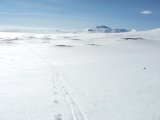 Tracks 1