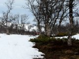 Trail 1