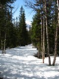Trail 2