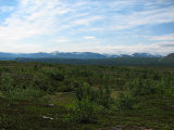 Fjelds 3