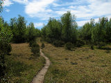 Trail 2