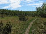 Trail 4