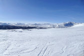 Fjelds 6