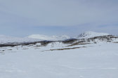 Fjelds 1