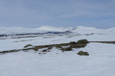 Fjelds 2
