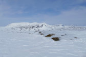 Fjelds 3