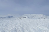 Fjelds 5