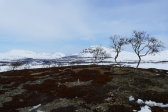 Hilltop 1