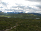 Gierggev�rre 3