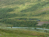 L�ddej�kk� cottages 2