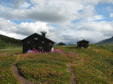 L�ddej�kk� cottages 6