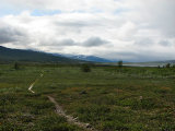 Trail 2