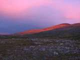 Evening 5