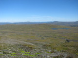 Fjelds 1