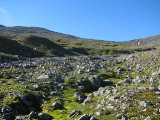 Rocks 1