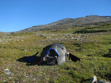 Tent 5
