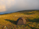 Tent 6